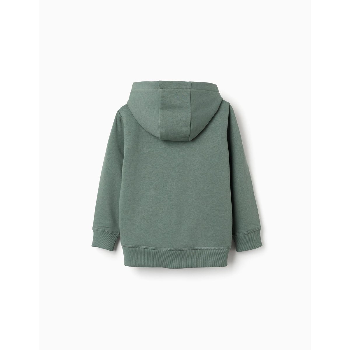 Sweat zippé en coton avec capuche et broderie en bouclettes ZY vert foncé, ZIPPY