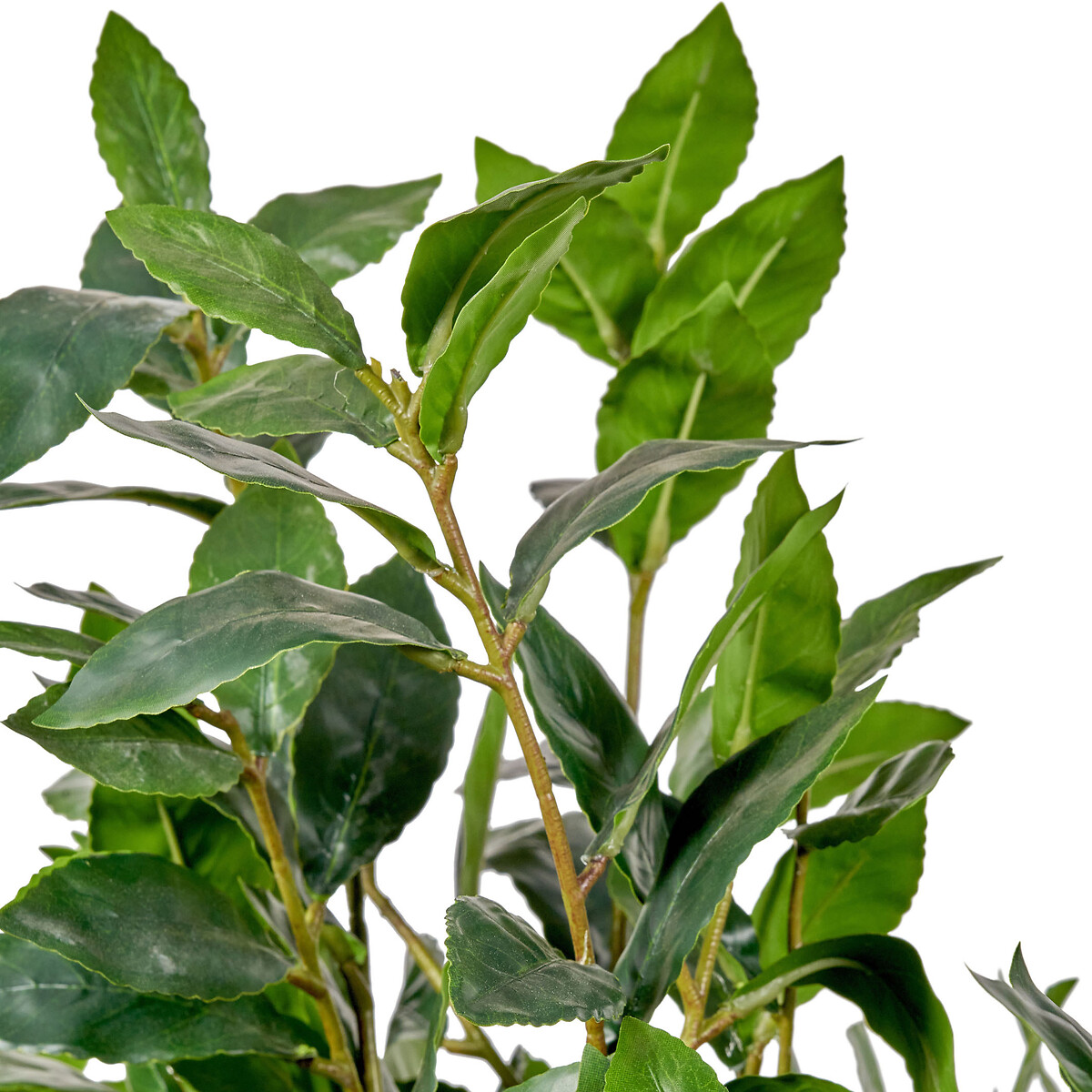 150cm Bay Tree in Pot green, ÉDITÉ