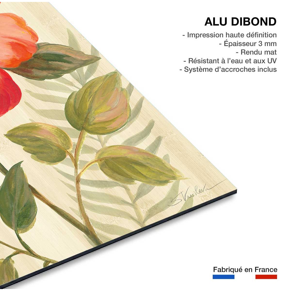 Tableau Diamant d'hibiscus tableau alu dibond, HEXOA