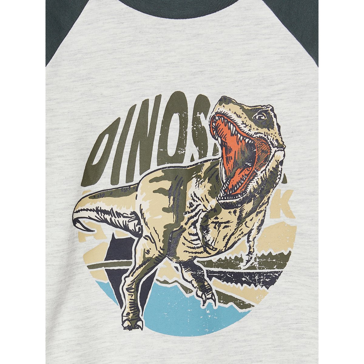 T-shirt motif graphique manches raglan lichen, VERTBAUDET