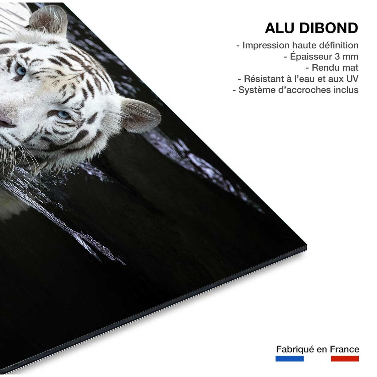 Tableau tigre Regarde moi tableau alu dibond, HEXOA