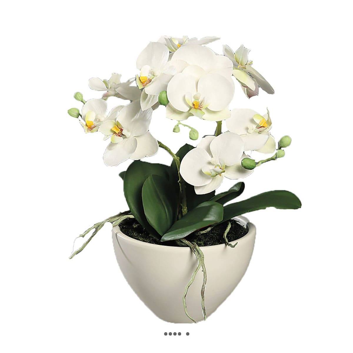 Orchidée phalaenopsis artificielle en coupe crème, ARTIFICIELLES