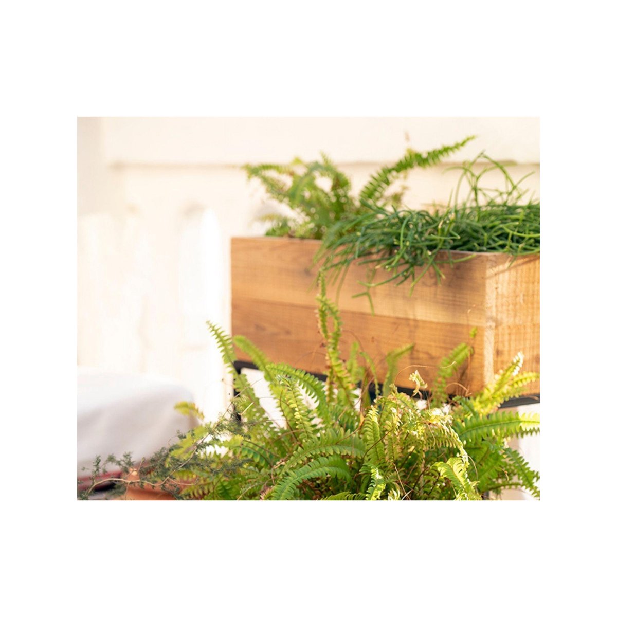 Jardinière sur Pied en Métal Noir et bois recyclé - 55x21x60.5cm bois, WADIGA