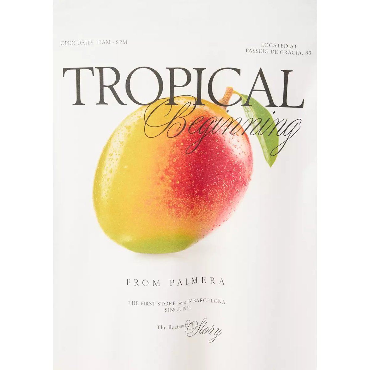 T-shirt 100 % coton imprimé blanc, MANGO MAN