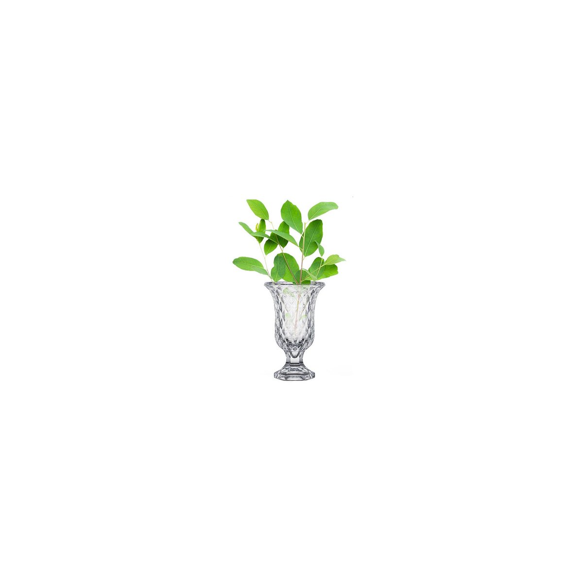 Vase vasque en verre Diamants - 15x15x24cm transparent, WADIGA