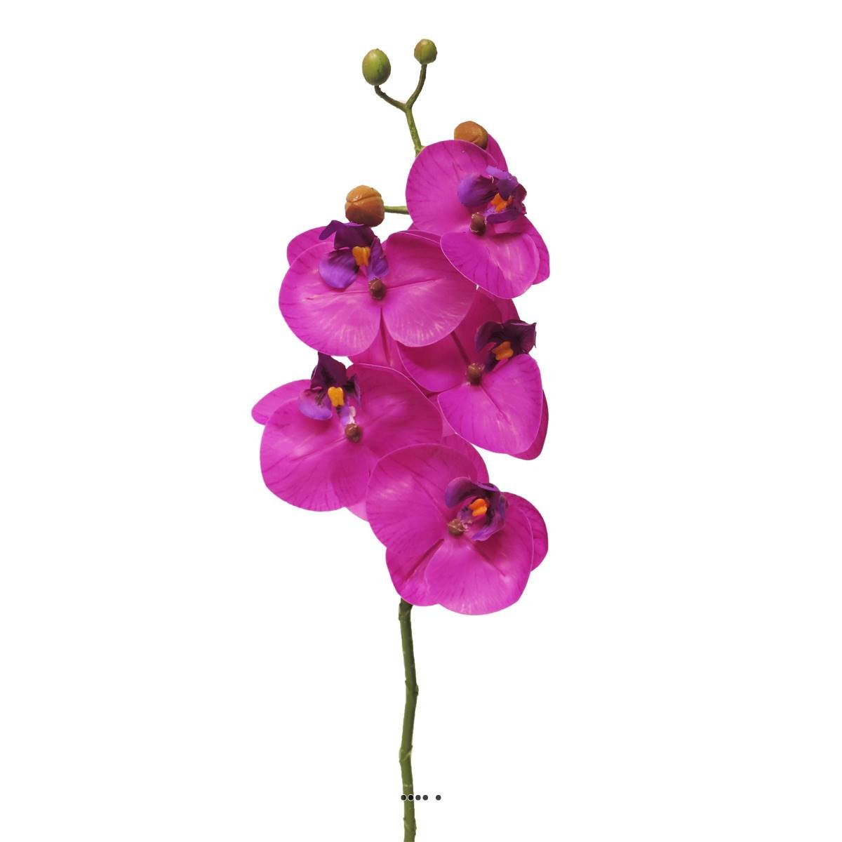 Tige orchidée phalaenopsis faux 5fleurons pourpre, ARTIFICIELLES