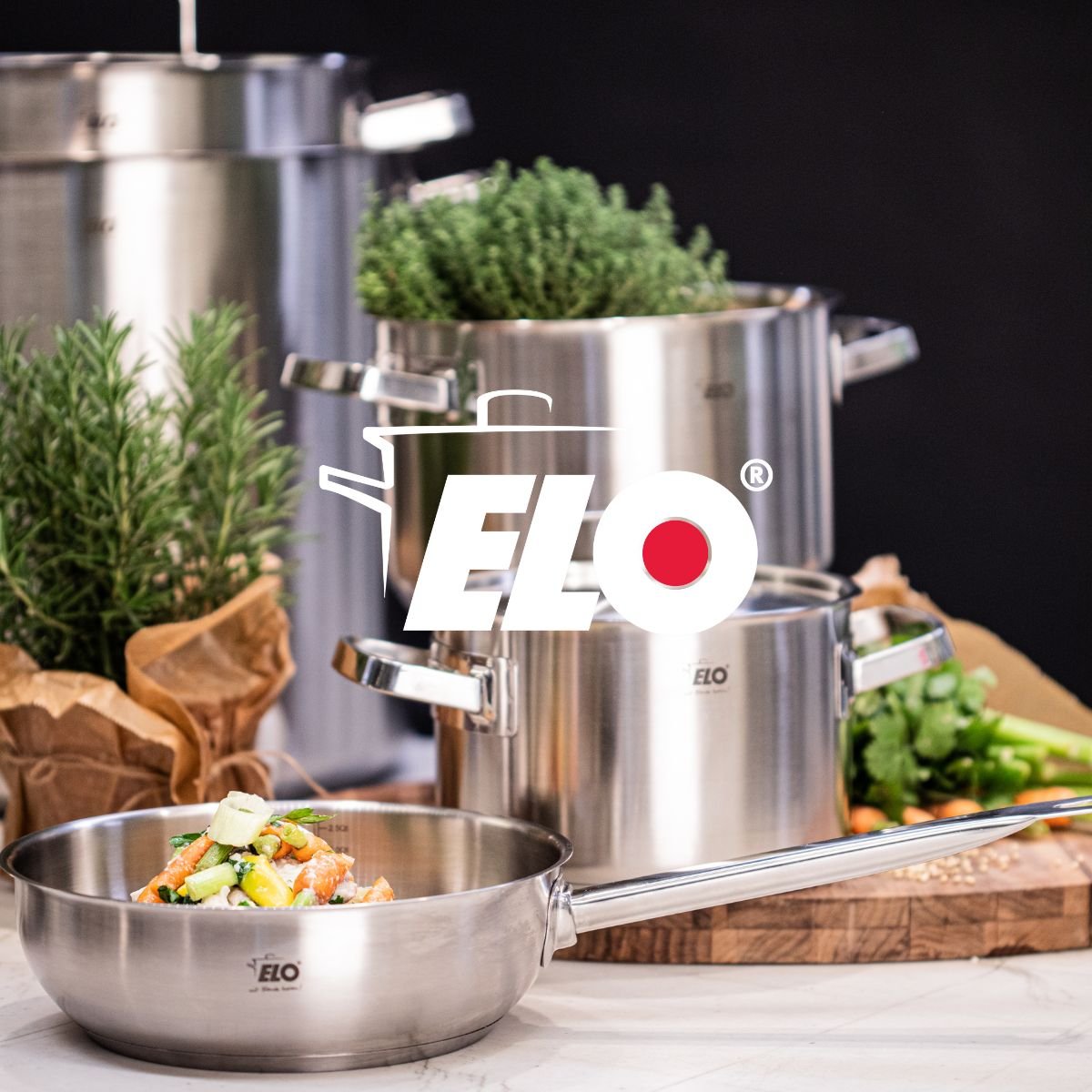 Sauteuse 20 cm en acier inoxydable 18/8 PROFI CUISINE inox, ELO
