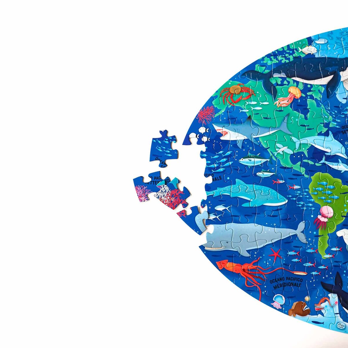 Puzzle & Livre - Voyage, découvre, explore, La mer bleu, SASSI