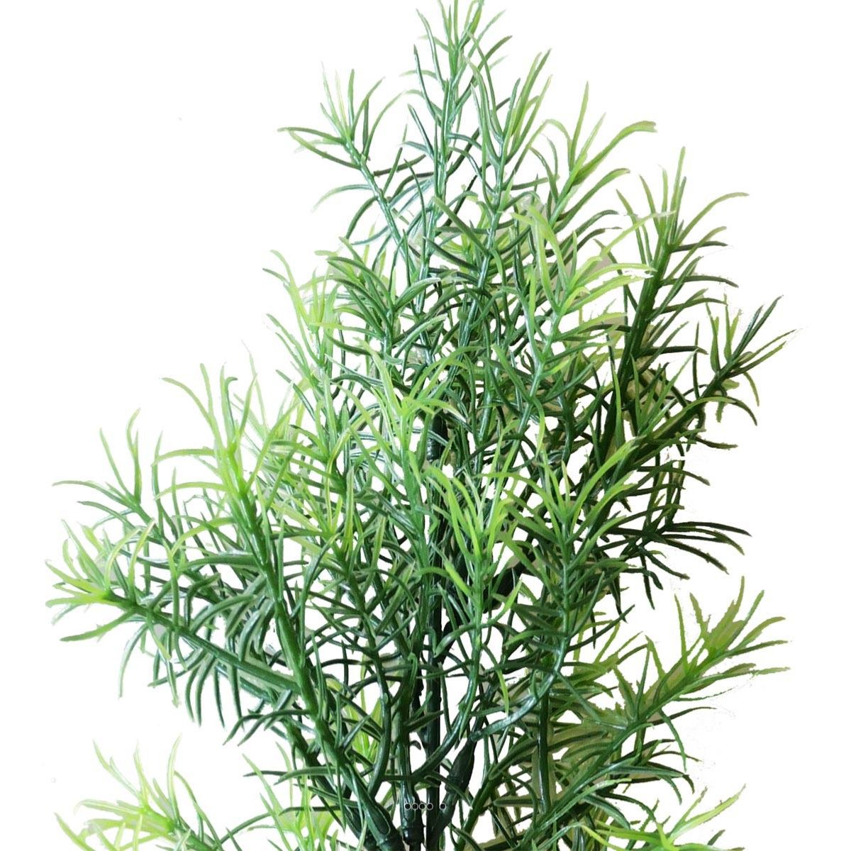 Asparagus Sprengeri en pic plastique artifi v002239, ARTIFICIELLES