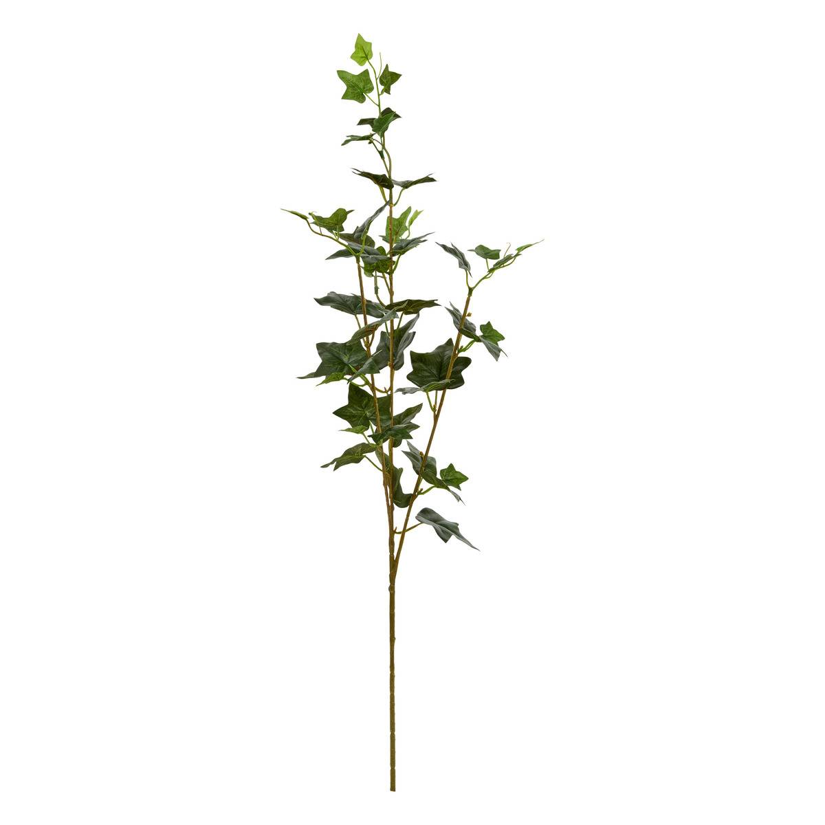Tige de lierre NELIA vert, ATMOSPHERA