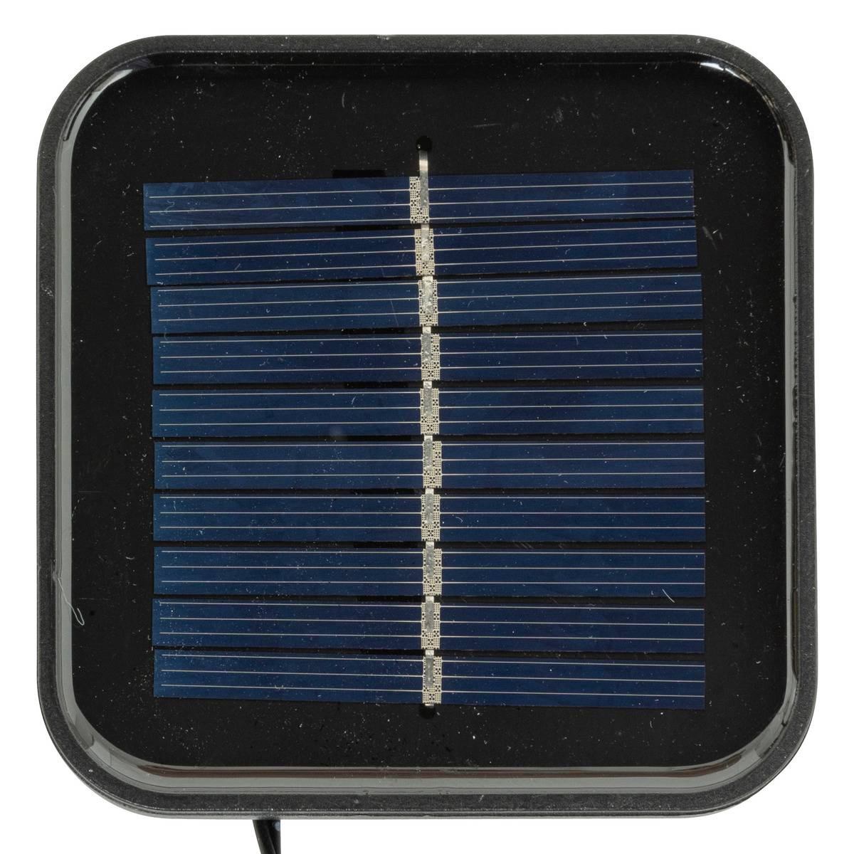 Forme acrylique extérieure castor lumineux solaire 18 LED fixes H27 cm multicolore, FEERIC LIGHTS & CHRISTMAS