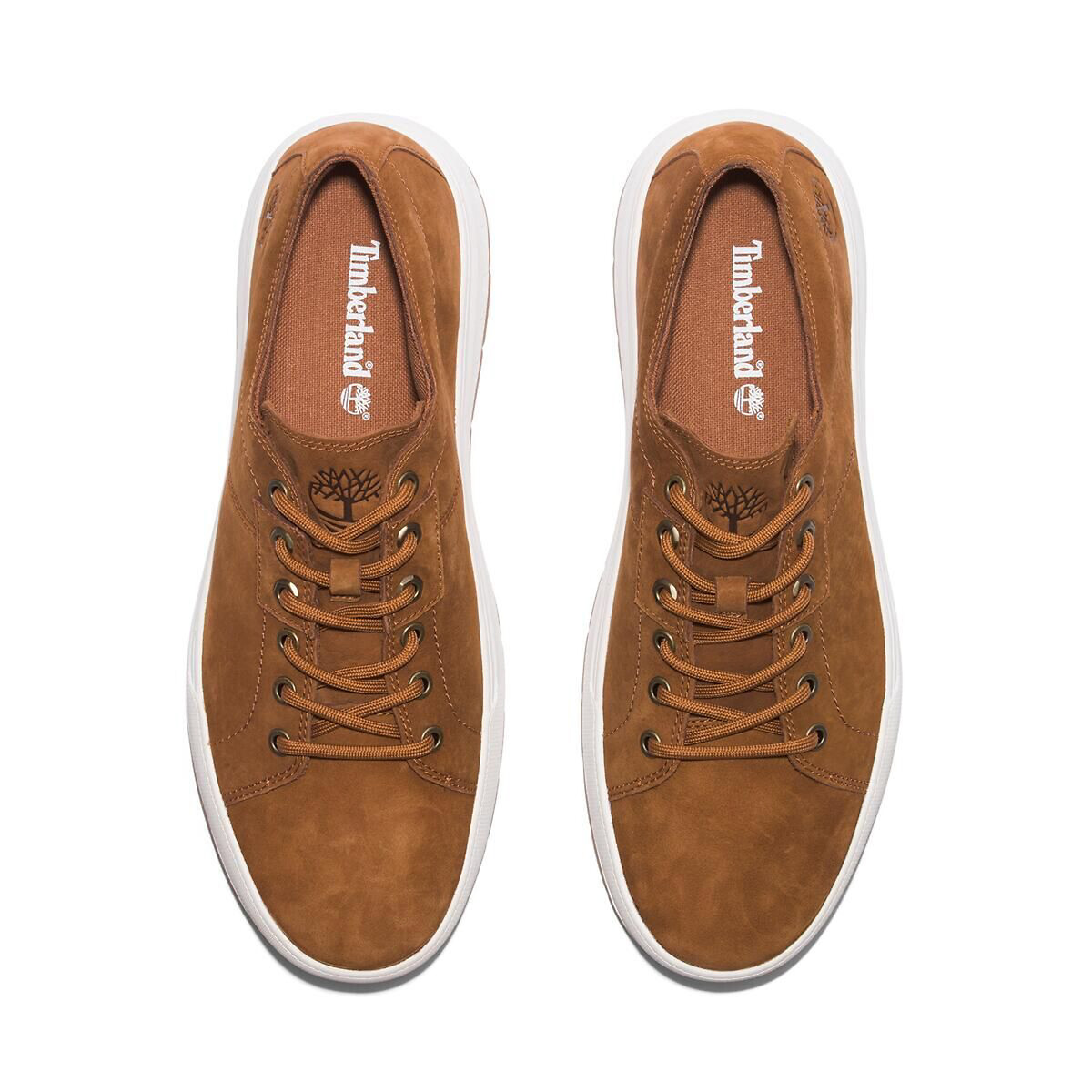 Maple Grove Low Top Trainers in Nubuck brown, TIMBERLAND