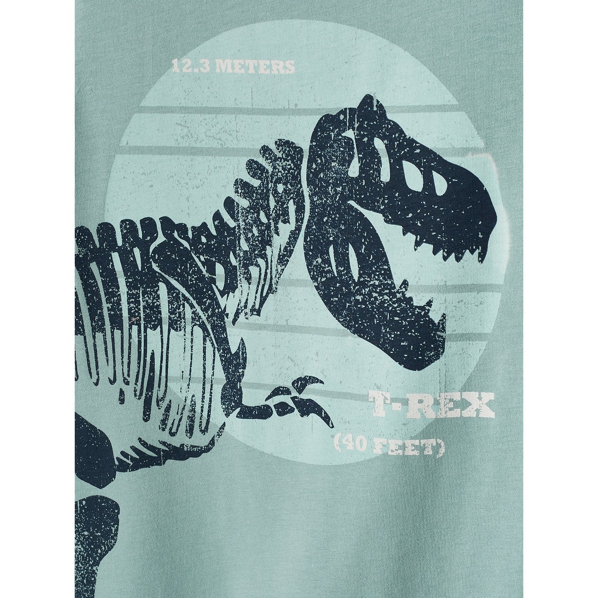 T-shirt motif dinosaure géant menthe, VERTBAUDET