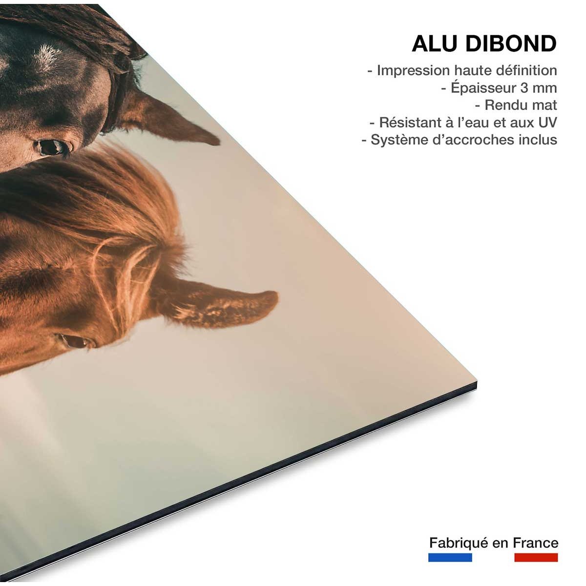 Tableau chevaux horse family tableau alu dibond, HEXOA