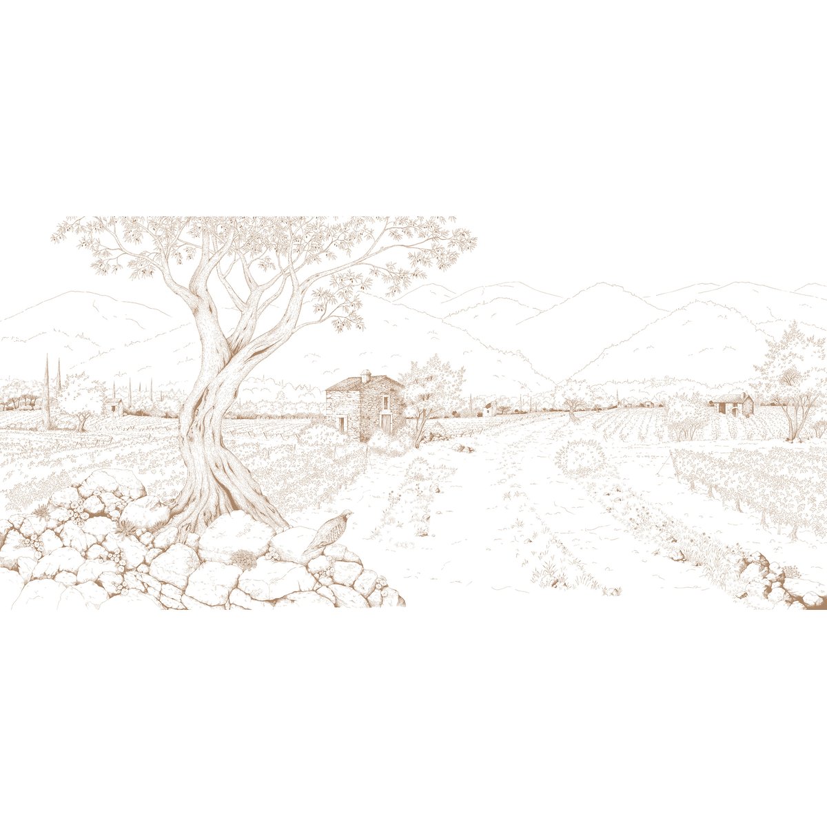 Papier peint Promenade dans les vignes, Vert 225 x 250cm brun, ACTE DECO