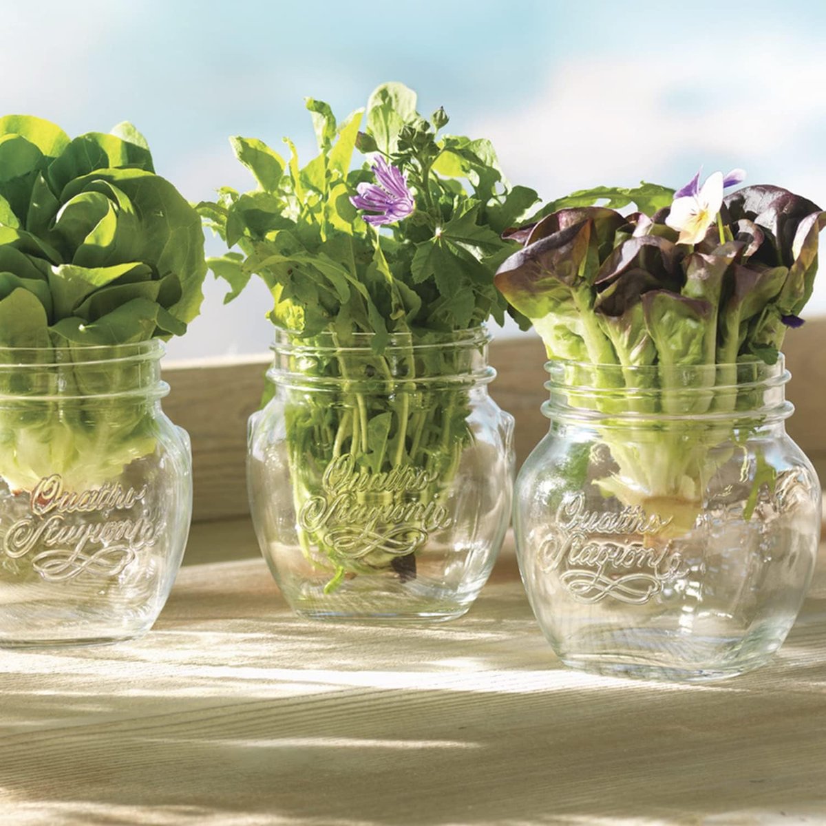 Lot de 12 Bocaux en verre, QUATTRO STAGIONI transparent, BORMIOLI ROCCO