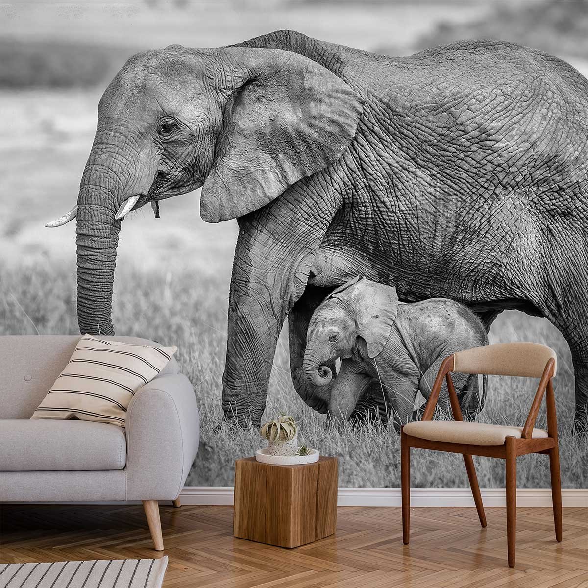 Papier peint éléphant et son petit intissé, HEXOA