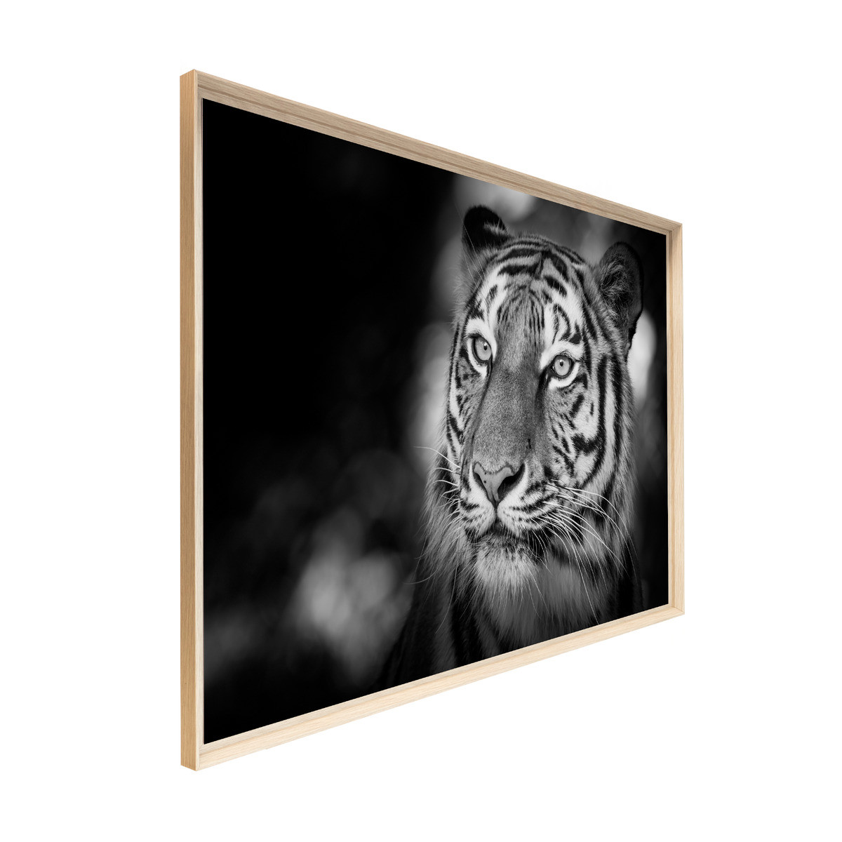 Tableau Mural Encadré Portrait Tigre Sauvage ANIMAUX tableaux encadrés, CEANOTHE