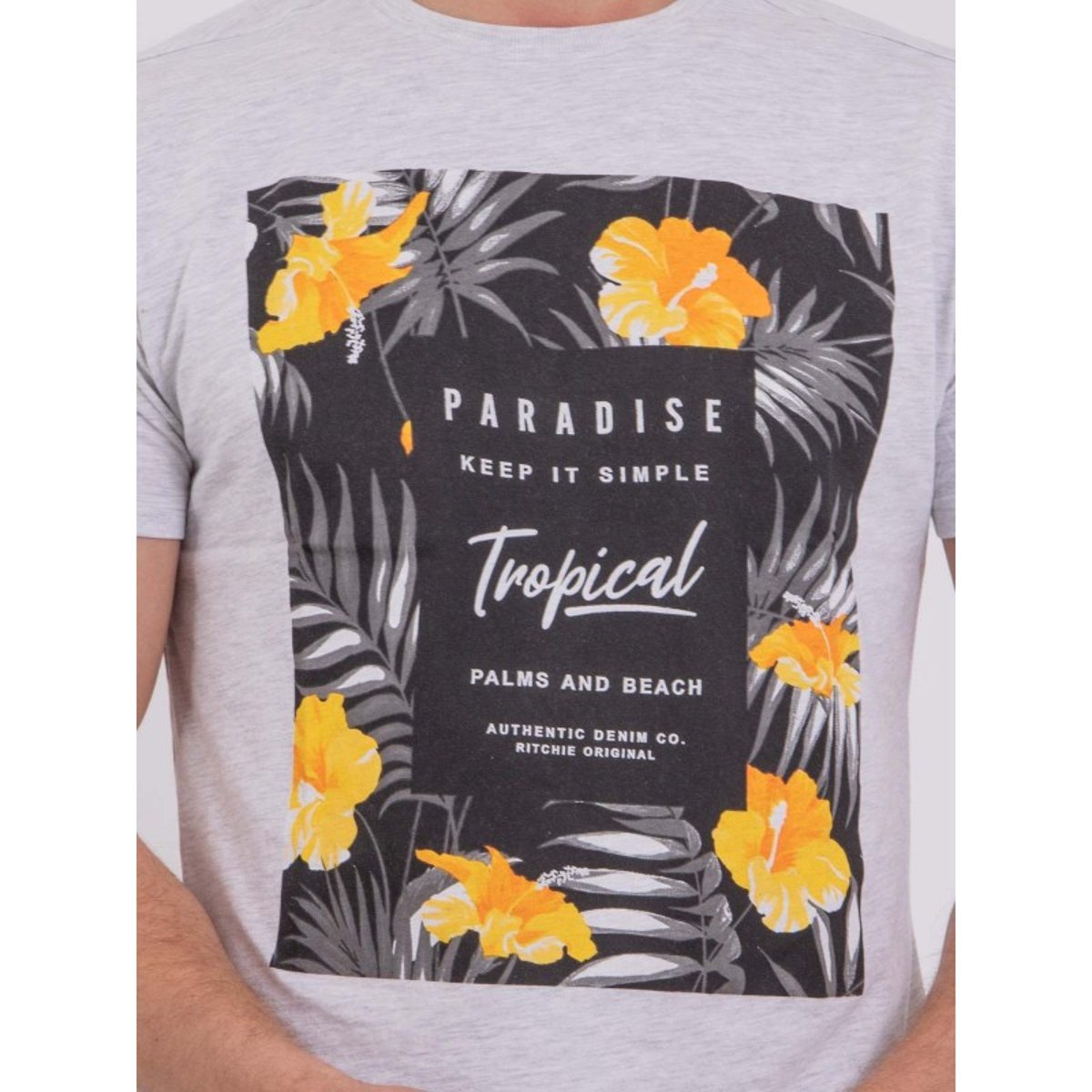 T-shirt Manches Courtes Col Rond Pur Coton Noctavio gris, RITCHIE