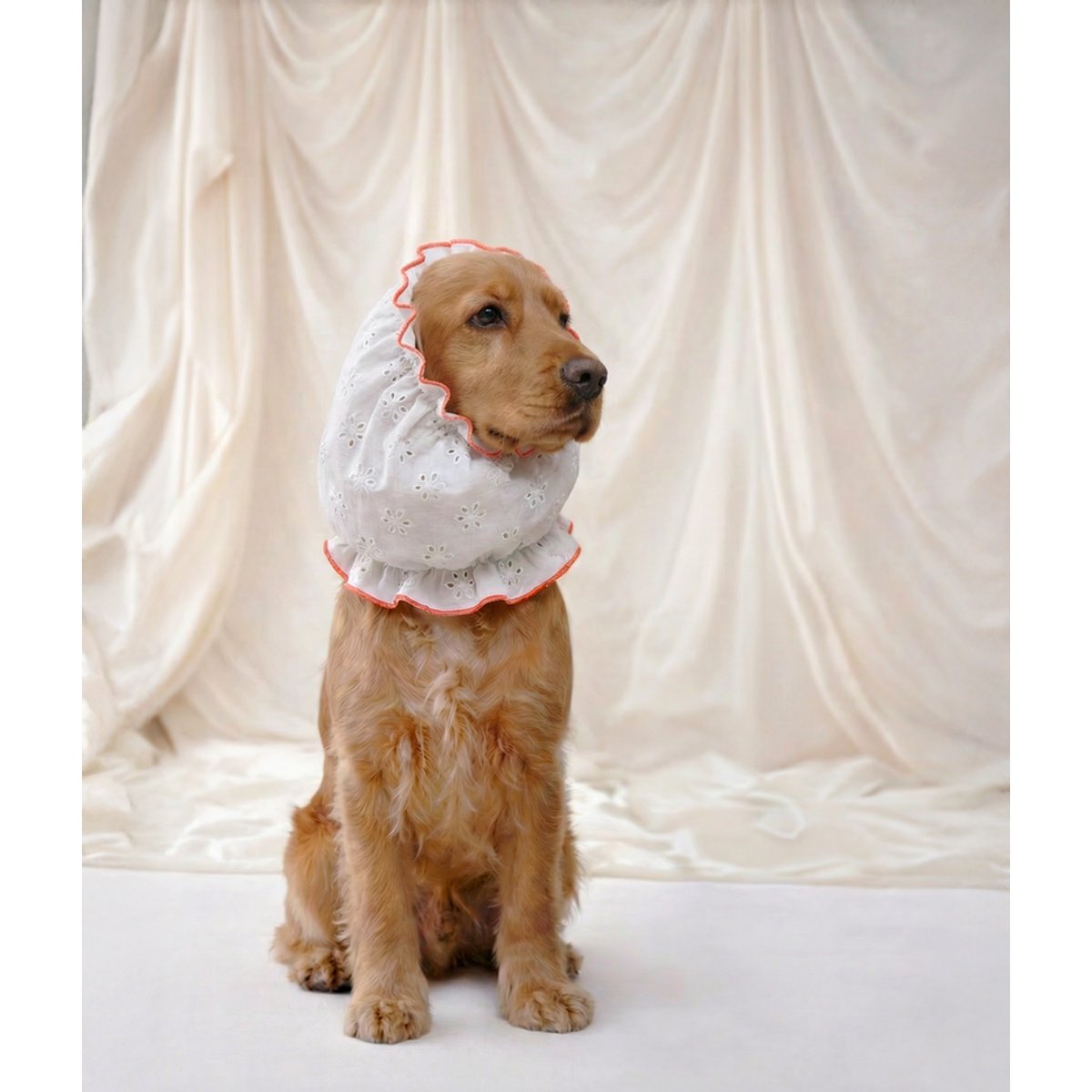 Snood pour chien, OLGA blanc, CAFIDE