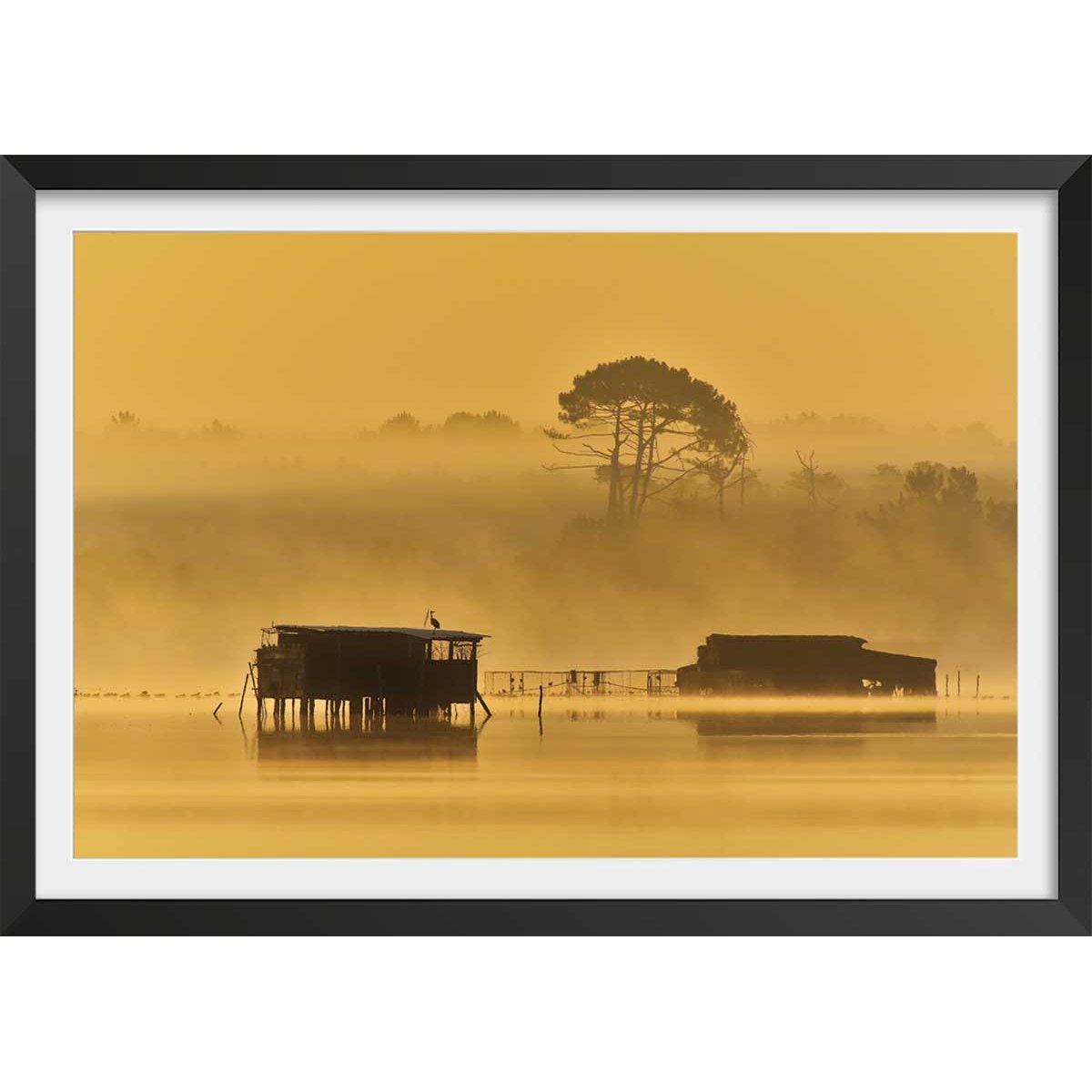 Affiche photo tonne landaise au petit matin affiche + cadre en bois - noir, HEXOA