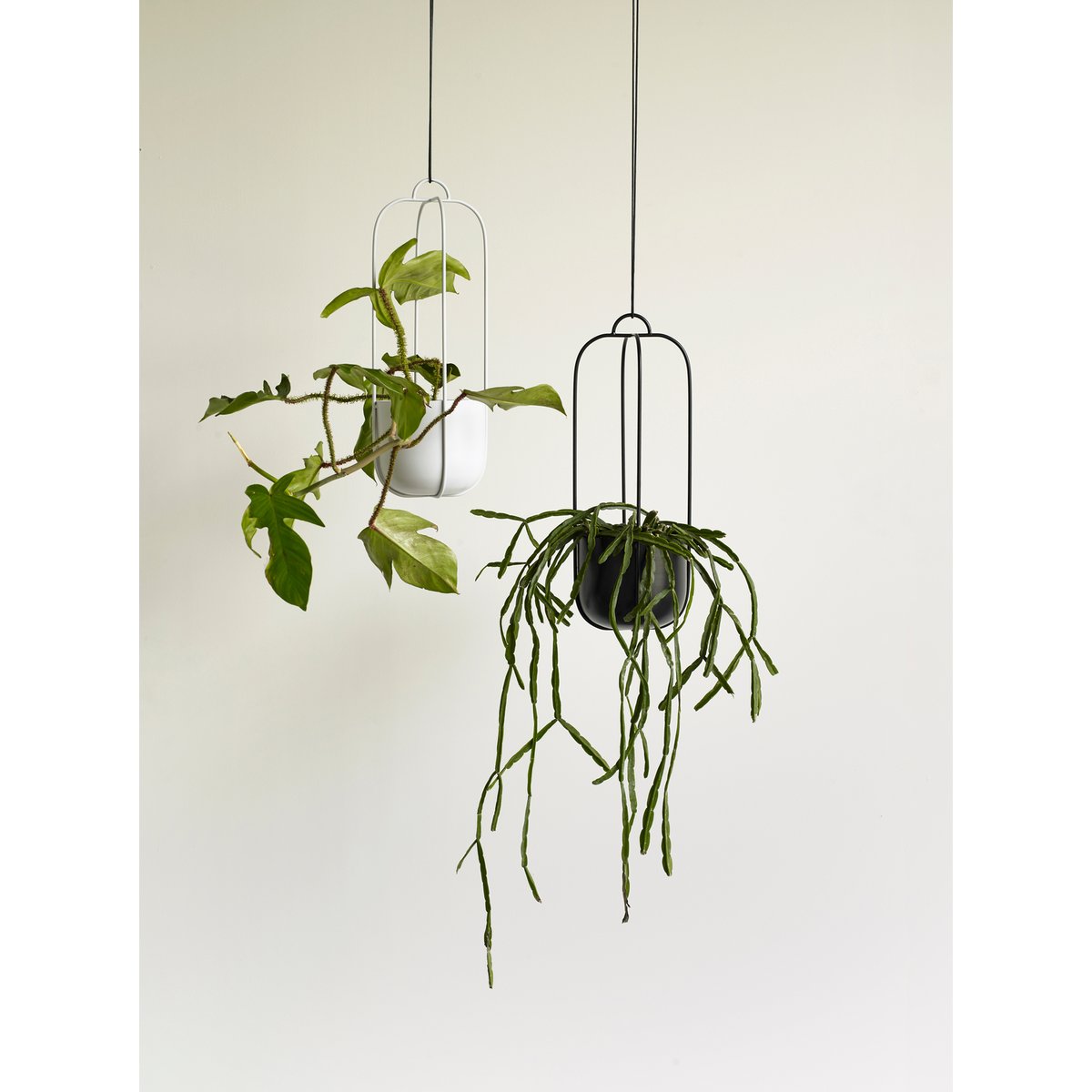 Suspension pour plantes en fer LOTUS noir, HUBSCH