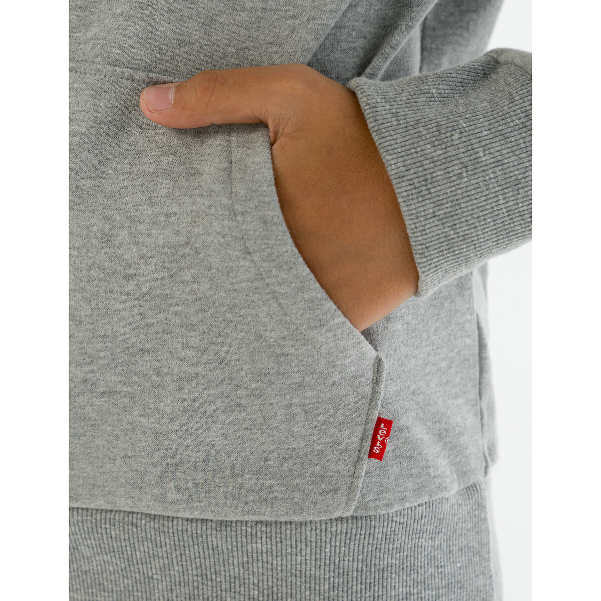 Felpa con cappuccio grigio, LEVI'S KIDS