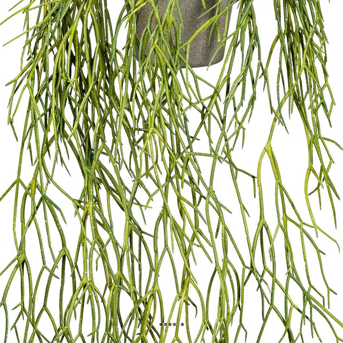 Fausse plante retombante rhipsalis L 60 cm v002239, ARTIFICIELLES