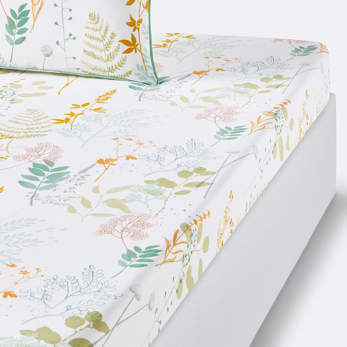 Drap housse percale de coton, Herbarium imprimé fond blanc, LA REDOUTE INTERIEURS