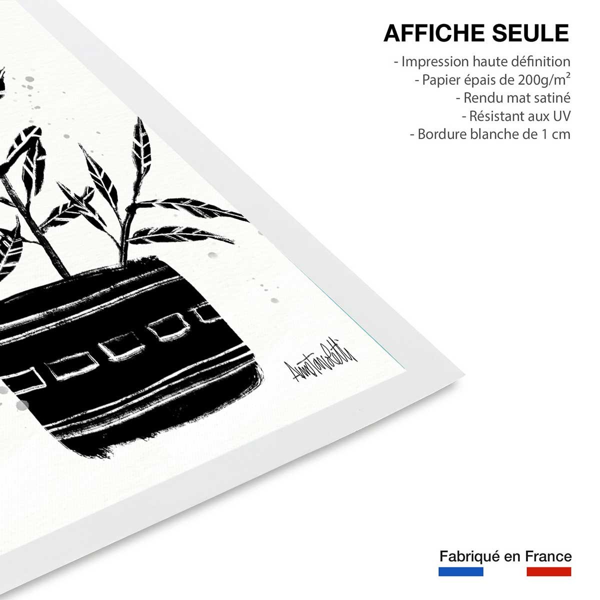 Illustration Botanique et Poterie terre cuite affiche seule, HEXOA