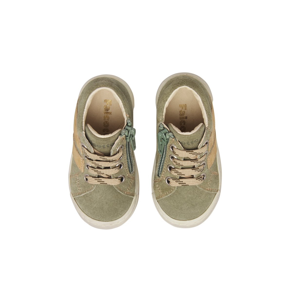 Baskets en suède GAZER ZIP beige-vert militaire-, FALCOTTO
