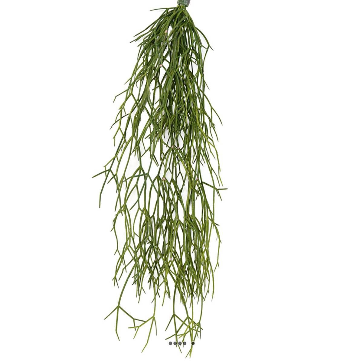 Chute de cactus rhipsalis artificiel L 60 cm v002239, ARTIFICIELLES