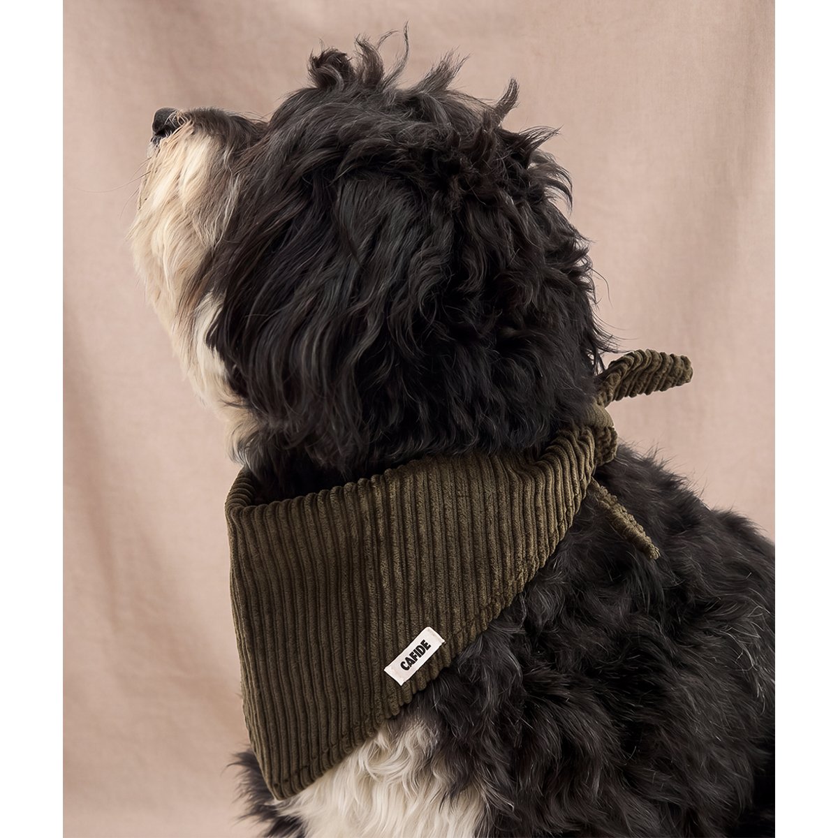 Bandana en velours côtelé vert pour chien, Nata vert, CAFIDE