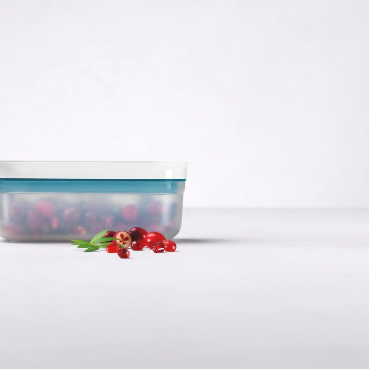 ZWILLING FRESH & SAVE Boîte sous vide S, plastique, semi-transparent La Mer couleur unique, ZWILLING