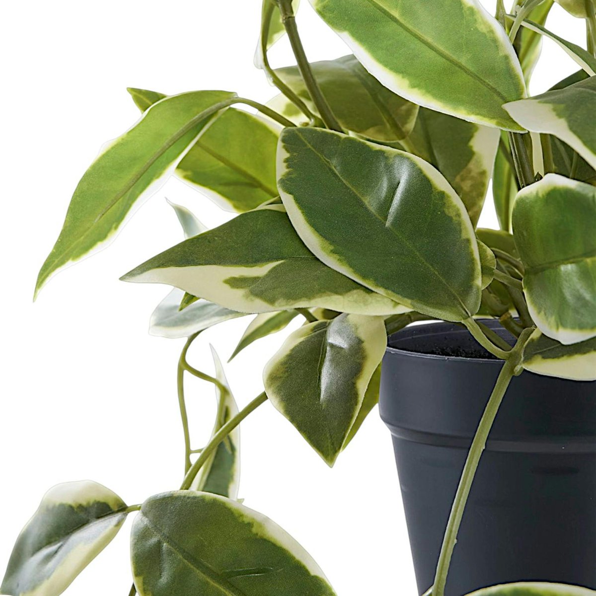 Plante artificielle hoya carnosa en pot vert, PIER IMPORT