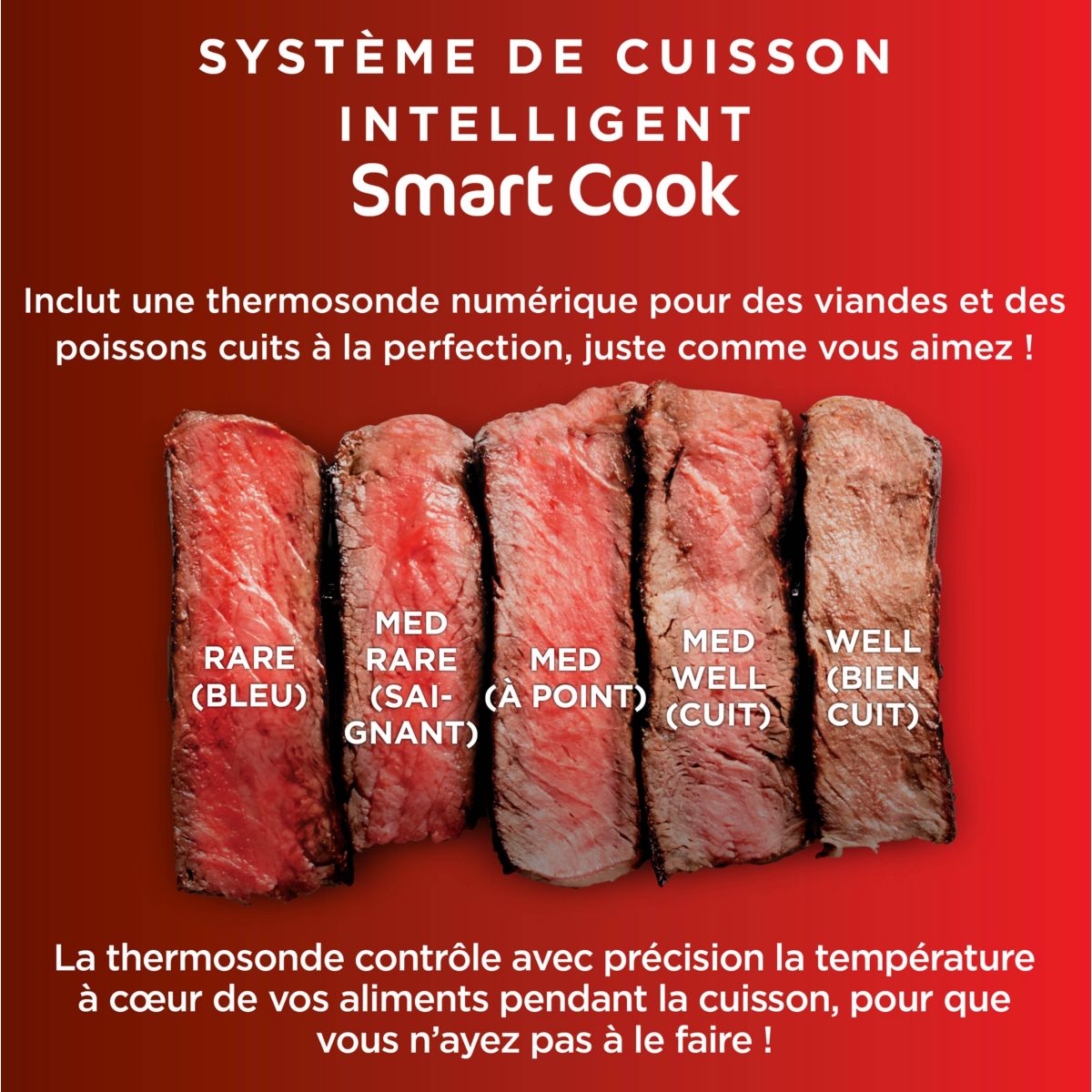 Grille-viande Foodi DG551EU thermosonde à poser, 40x27 cm couleur unique, NINJA