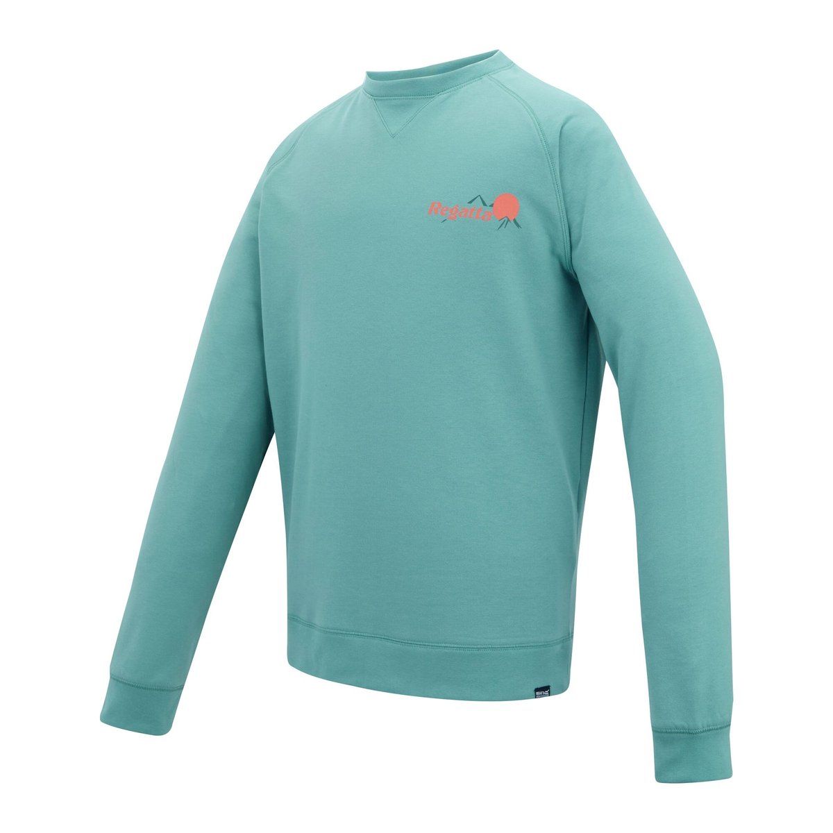 Sweat motif/style imprimé au dos NITHSDALE vert arctique, REGATTA