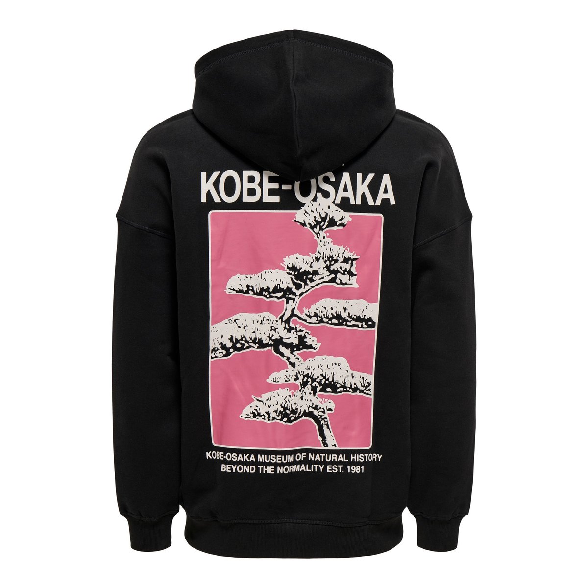 Sweat À Capuche black 1, ONLY & SONS