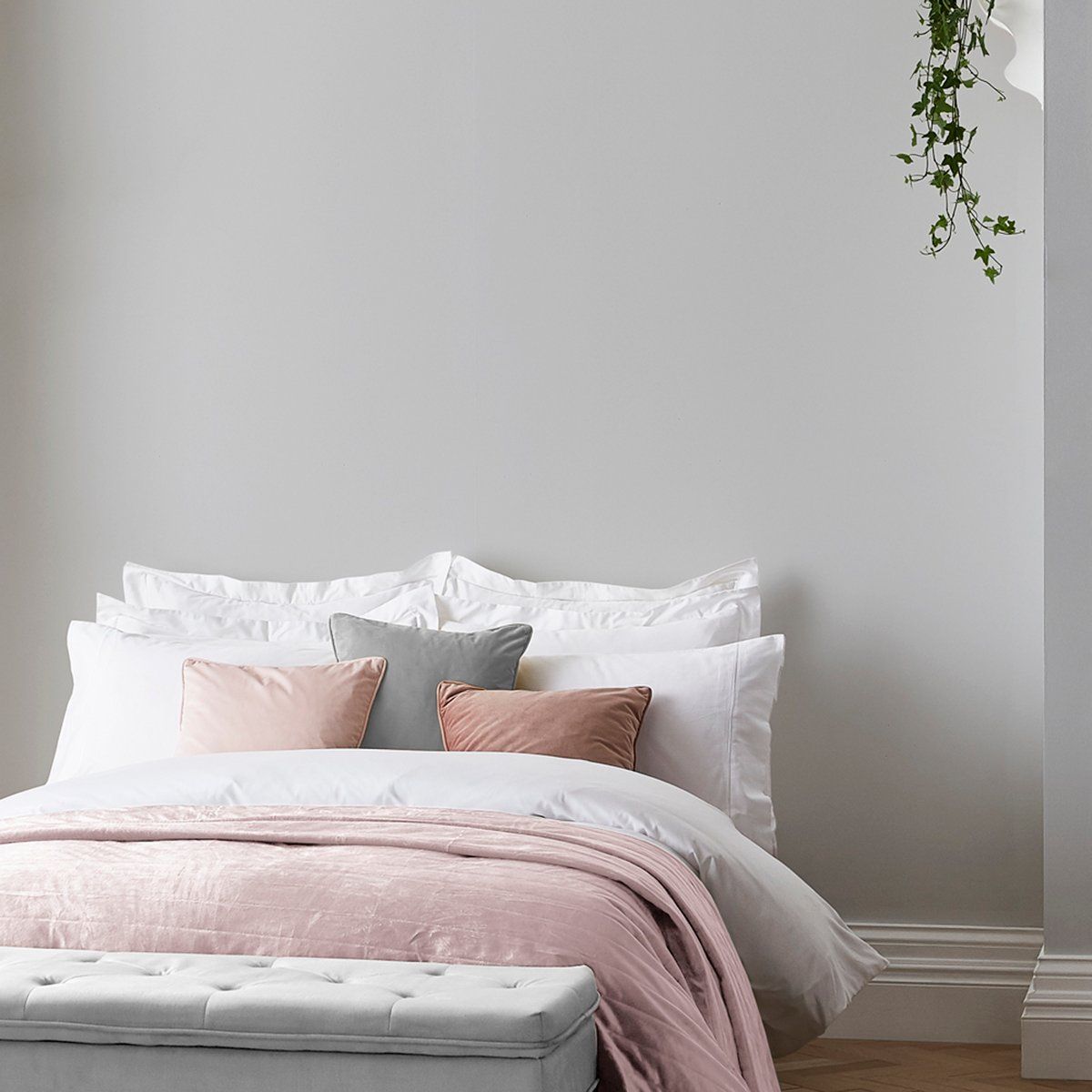 Peinture murale mate lessivable, tous les gris gris doux, GRAHAM ET BROWN