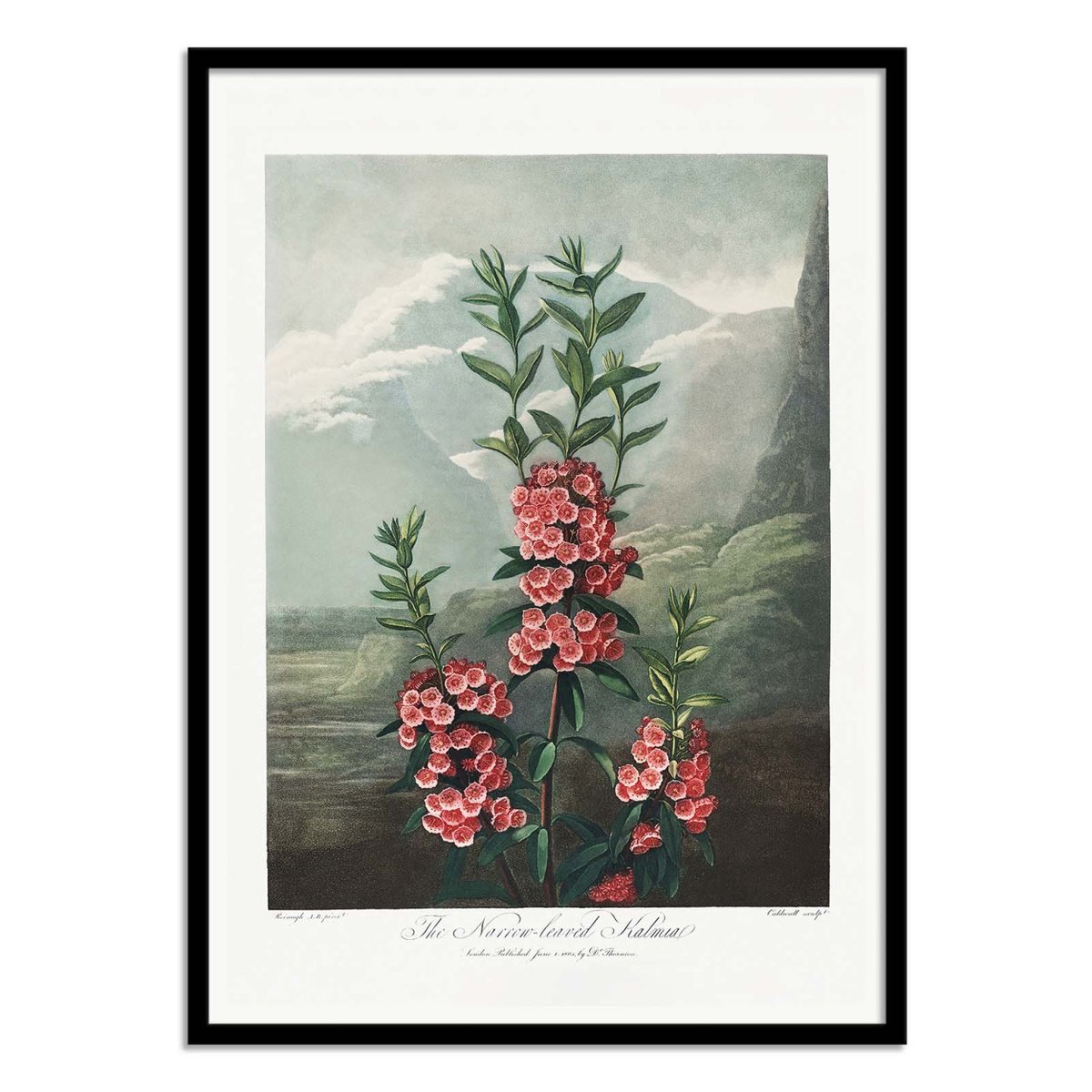Affiche d'art - The Narrowa - Robert John Thornton couleur unique, WALL EDITIONS