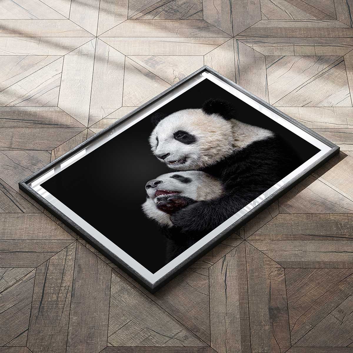 Affiche enfant pandas affiche seule, HEXOA