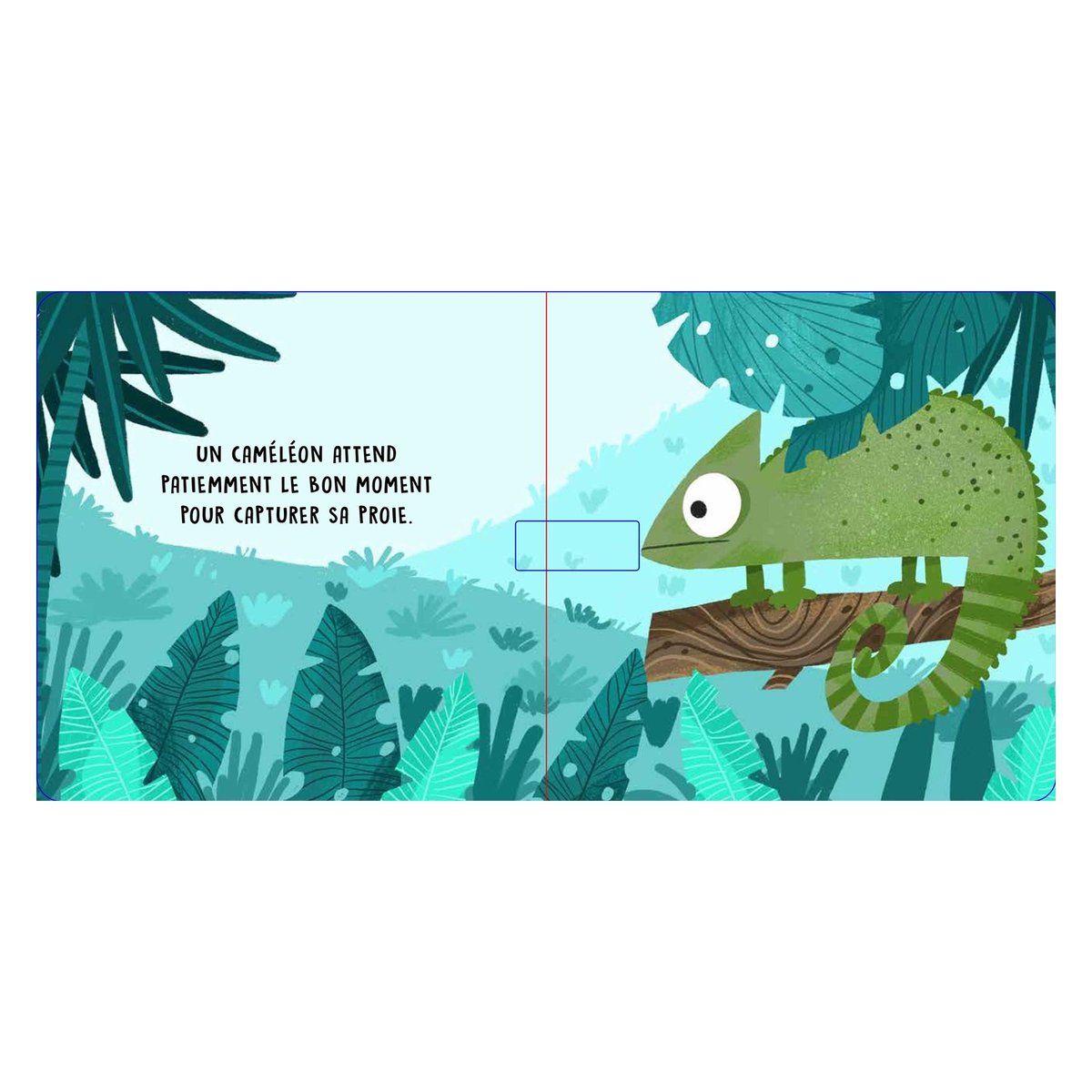 Douces histoires sonores La jungle vert, SASSI JUNIOR