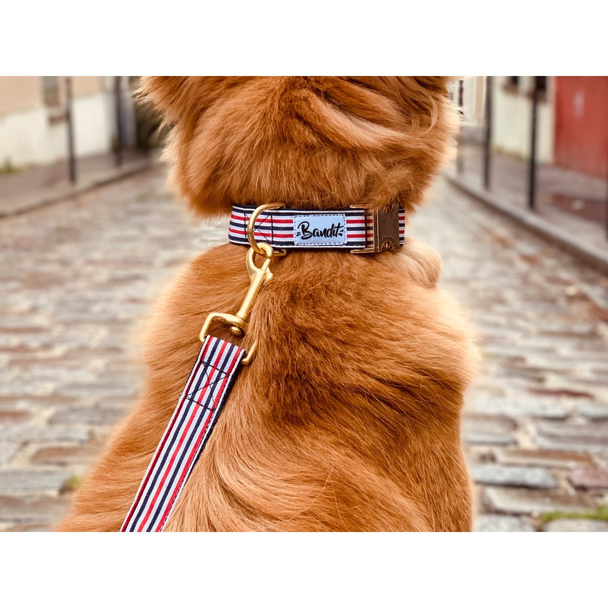 Collier pour chien THE FRENCH BANBAN bleu, blanc, rouge, FRENCH BANDIT