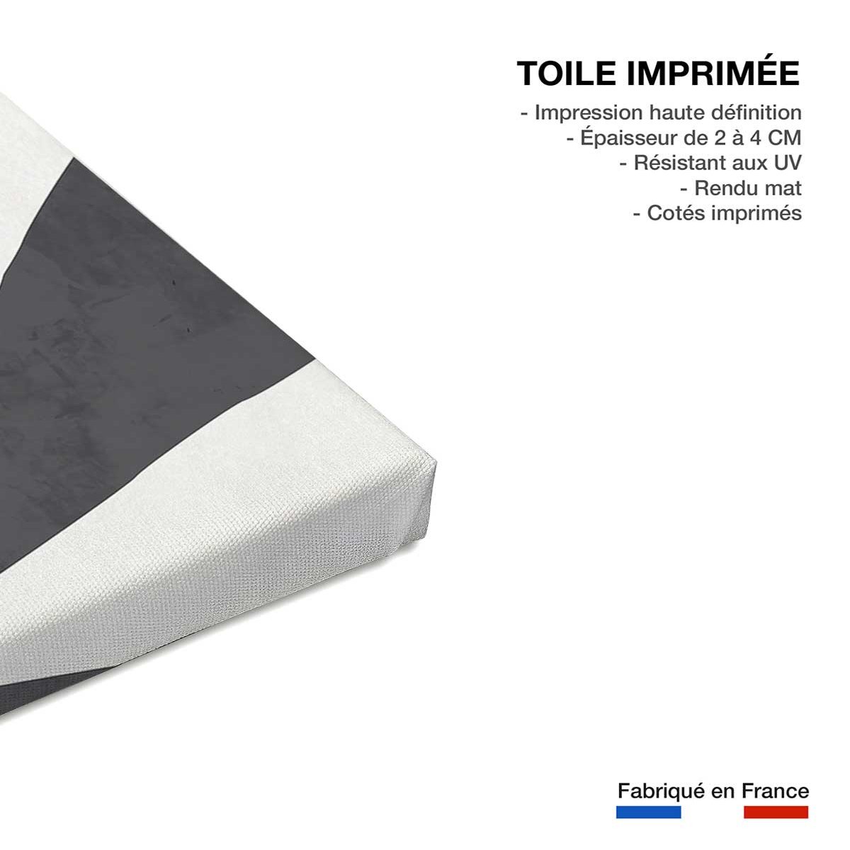 Tableau organique archive toile imprimée, HEXOA