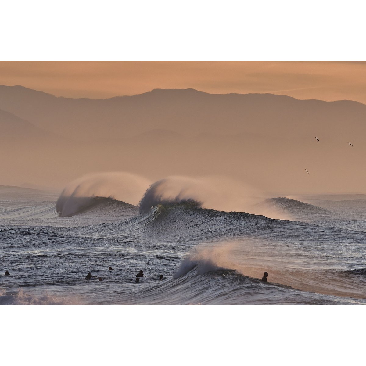 Tableau plage hossegor mouettes au pic tableau alu dibond, HEXOA