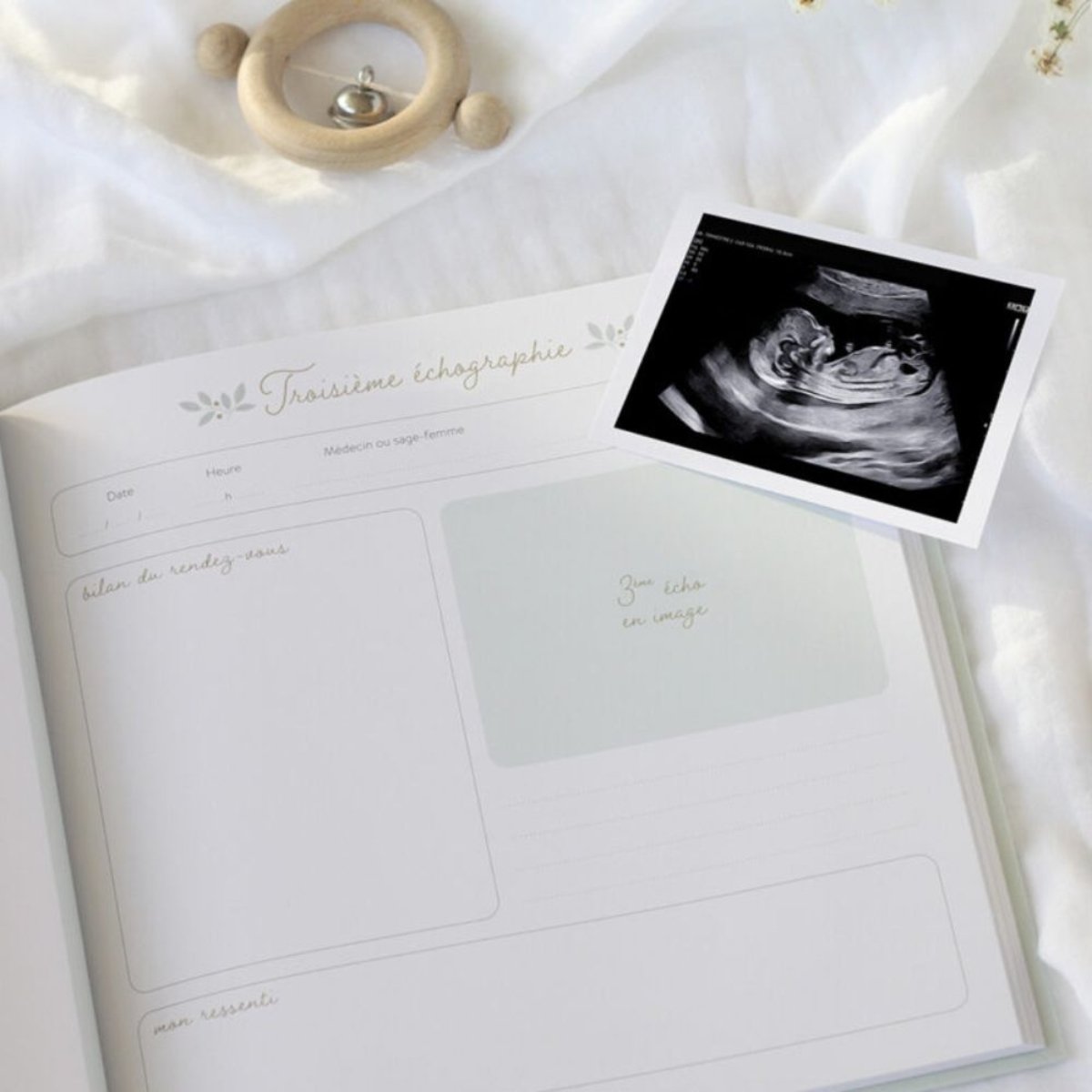 Journal de grossesse ecru, ZÜ