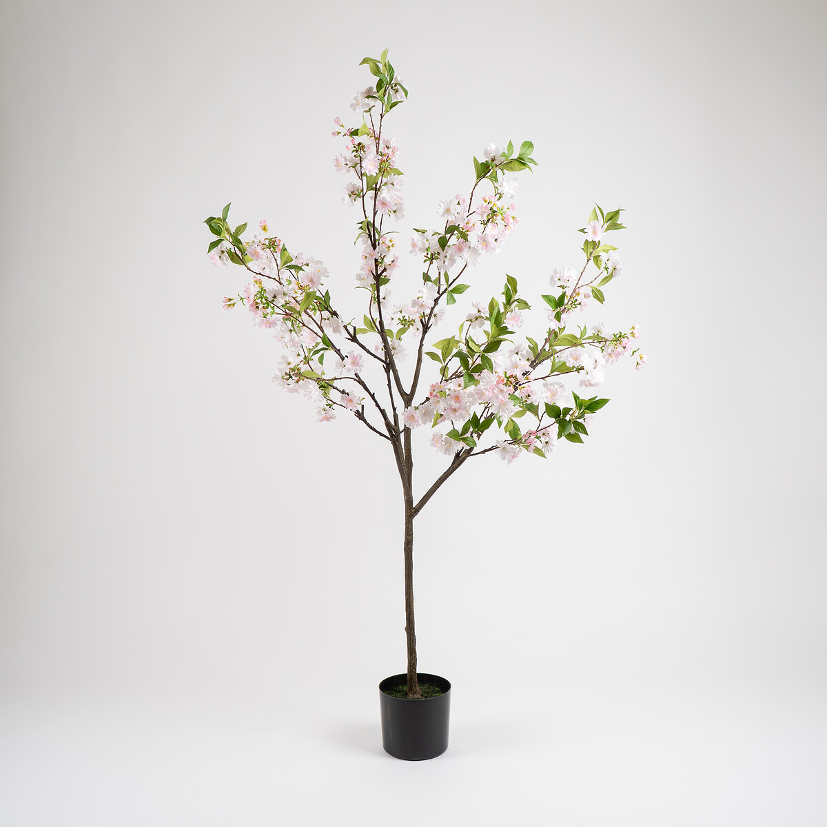 180cm Cherry Blossom Tree  in Pot pink, SO'HOME