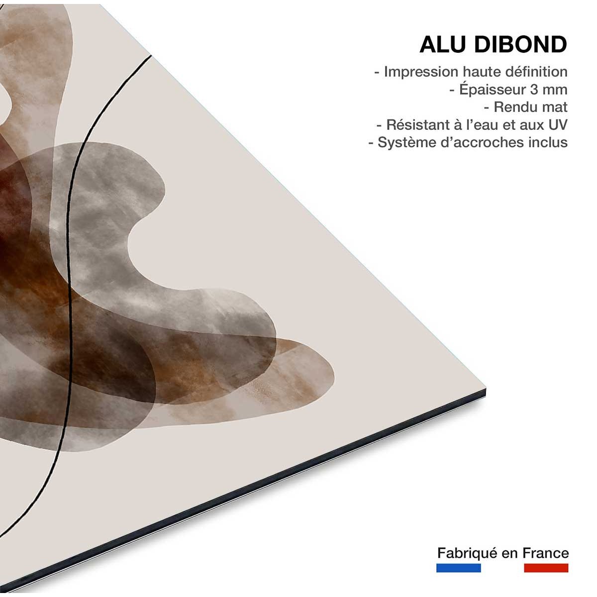 Tableau Organisme abstrait N°2 tableau alu dibond, HEXOA