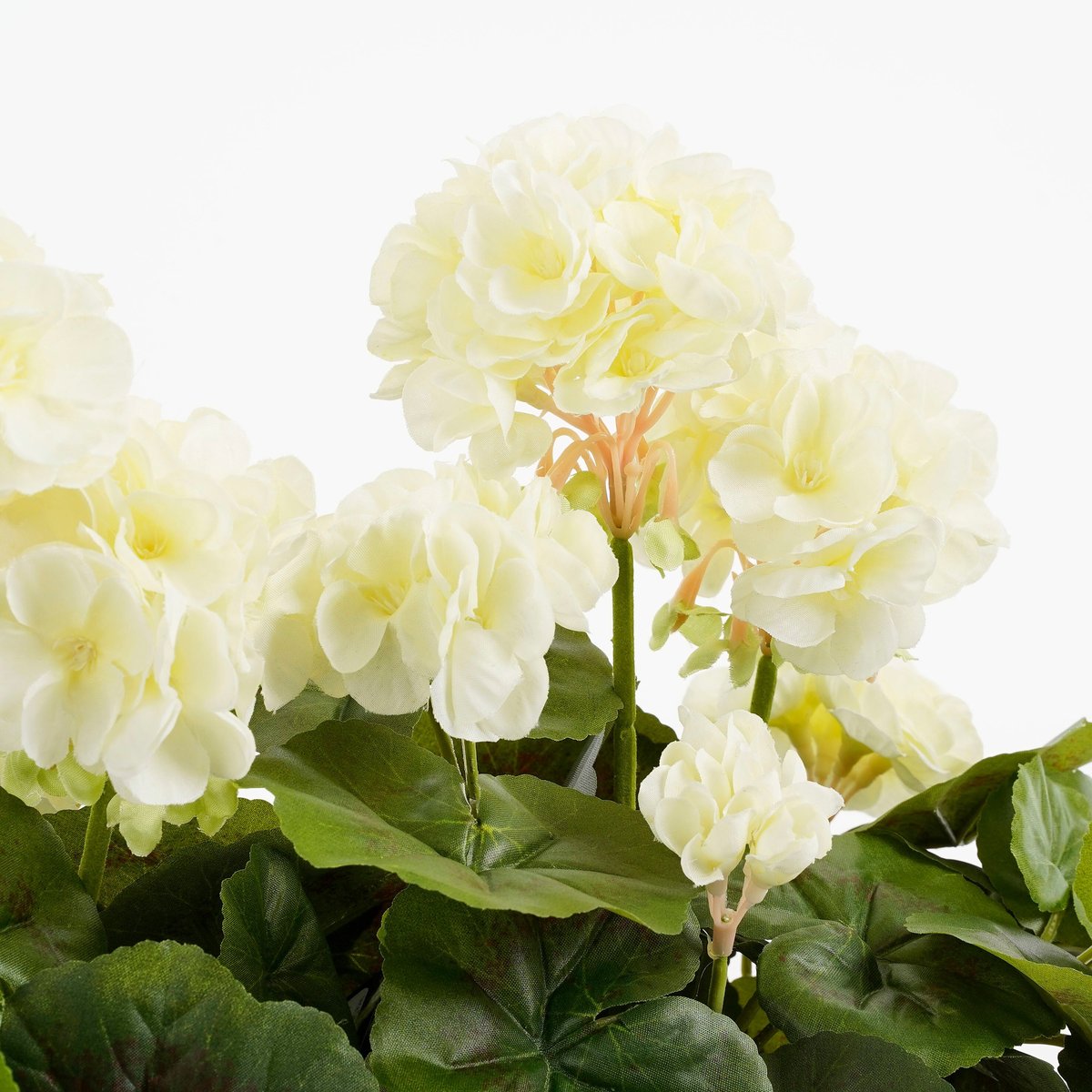 Plante artificielle en jardinière GERANIUM blanc, MICA DECORATIONS