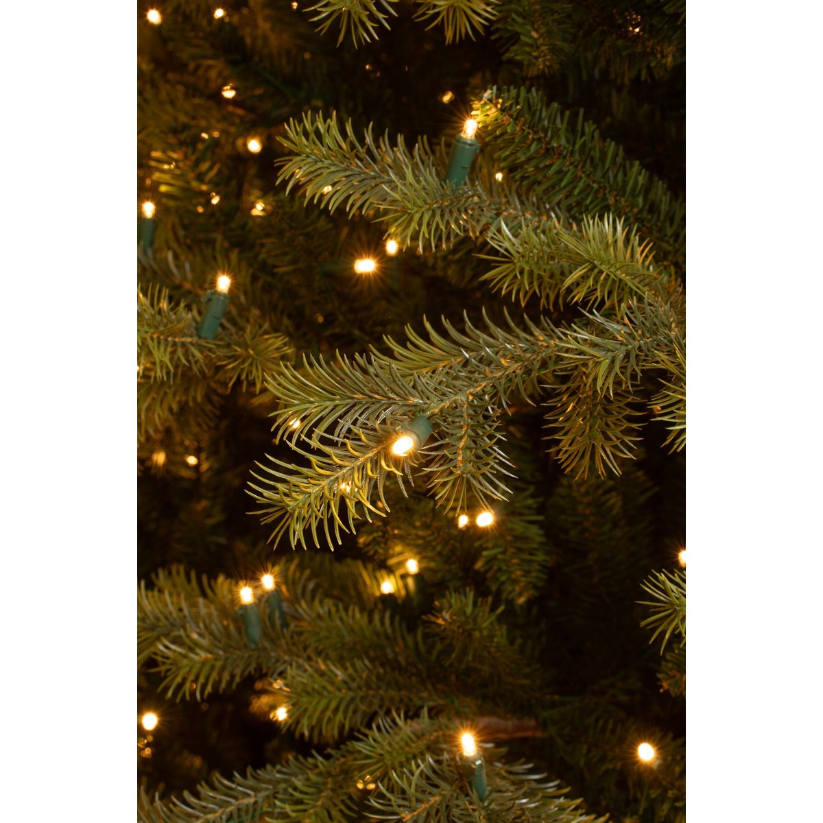 Sapin de Noël artificiel avec LED H215 cm CLIVE vert, BLACK BOX TREES